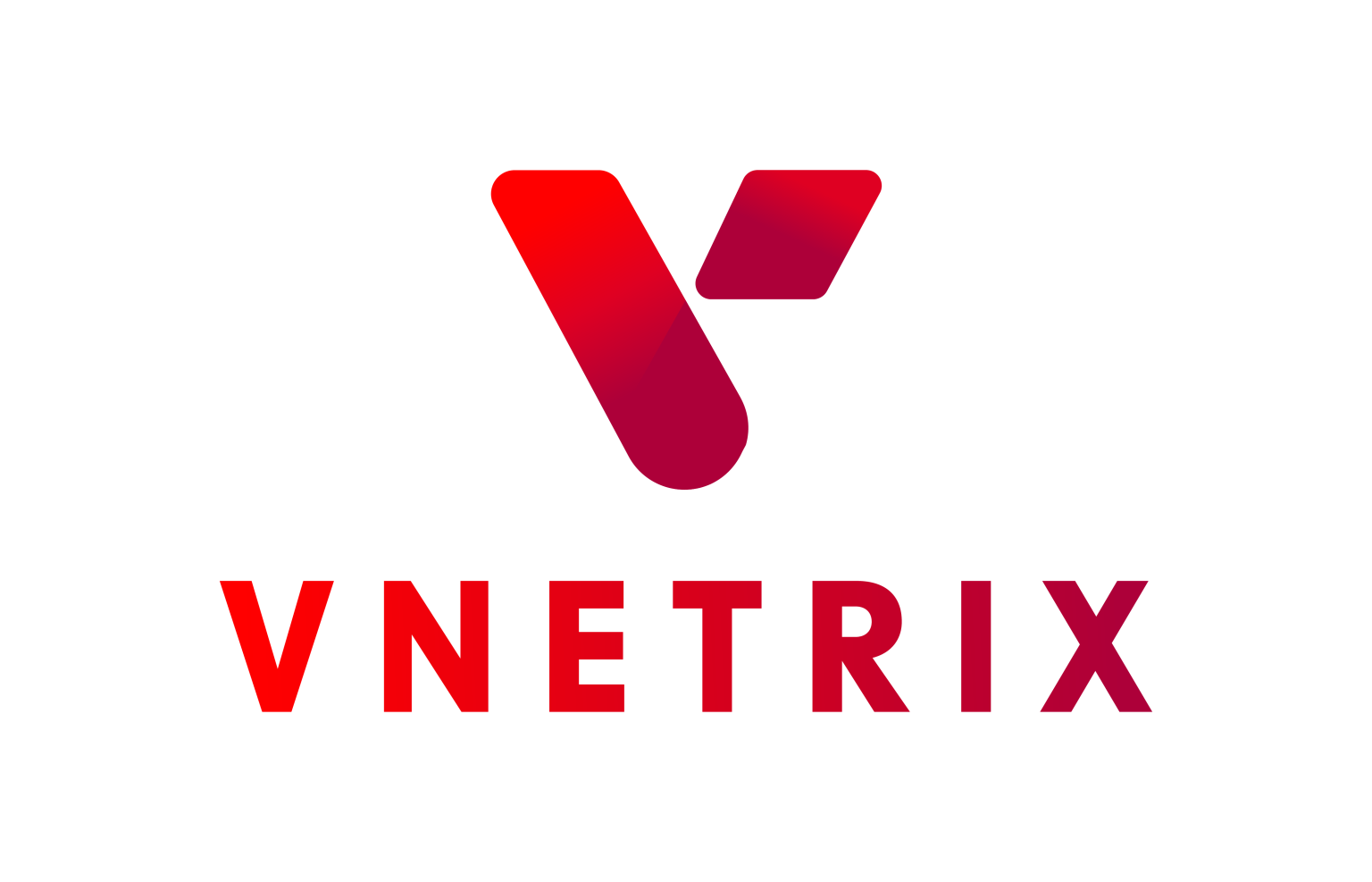 Vnetrix logo
